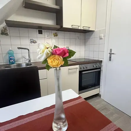 Beishan Dachgeschoss Nürnberg