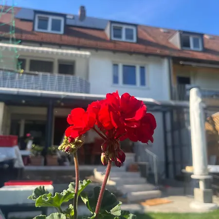 Beishan Dachgeschoss *