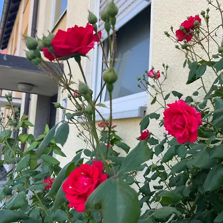 Beishan Dachgeschoss * Нюрнберг