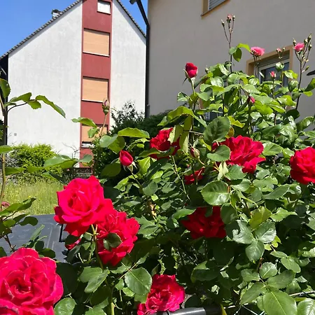 Beishan Dachgeschoss شقة نورنبيرغ