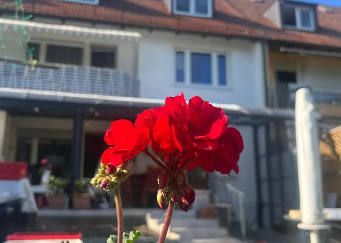 Beishan Dachgeschoss *